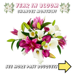 Year in Bloom