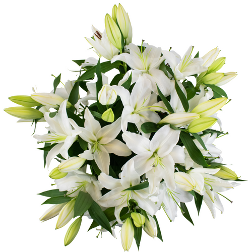 Stargazer Barn White Lilies Above